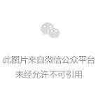 本科招生代码