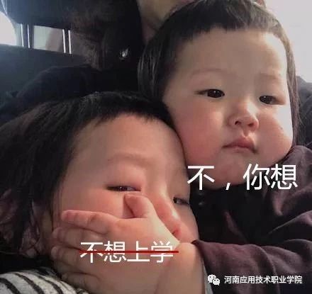 本科招生代码